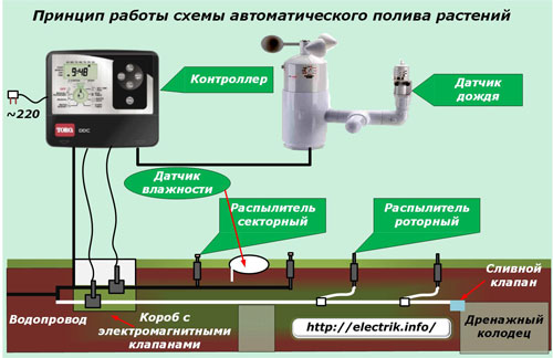 Principiul sistemului automat de udare a plantelor