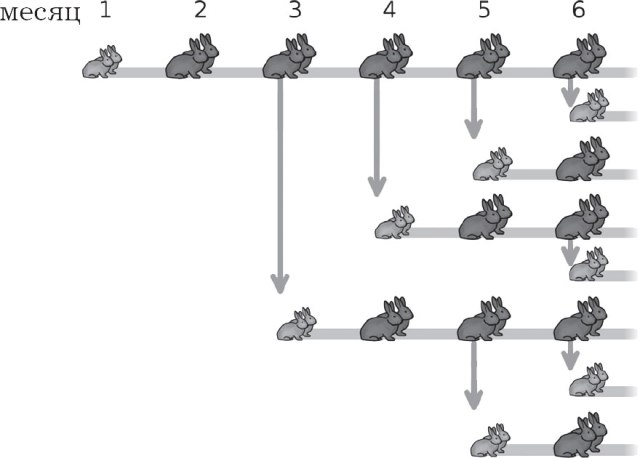 Model matematic Fibonacci